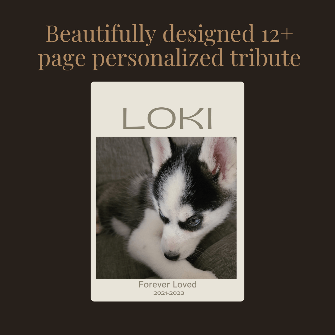 Personalized Pet Memorial Book - Custom Tribute Keepsake featuring a beautifully designed tribute for Loki.