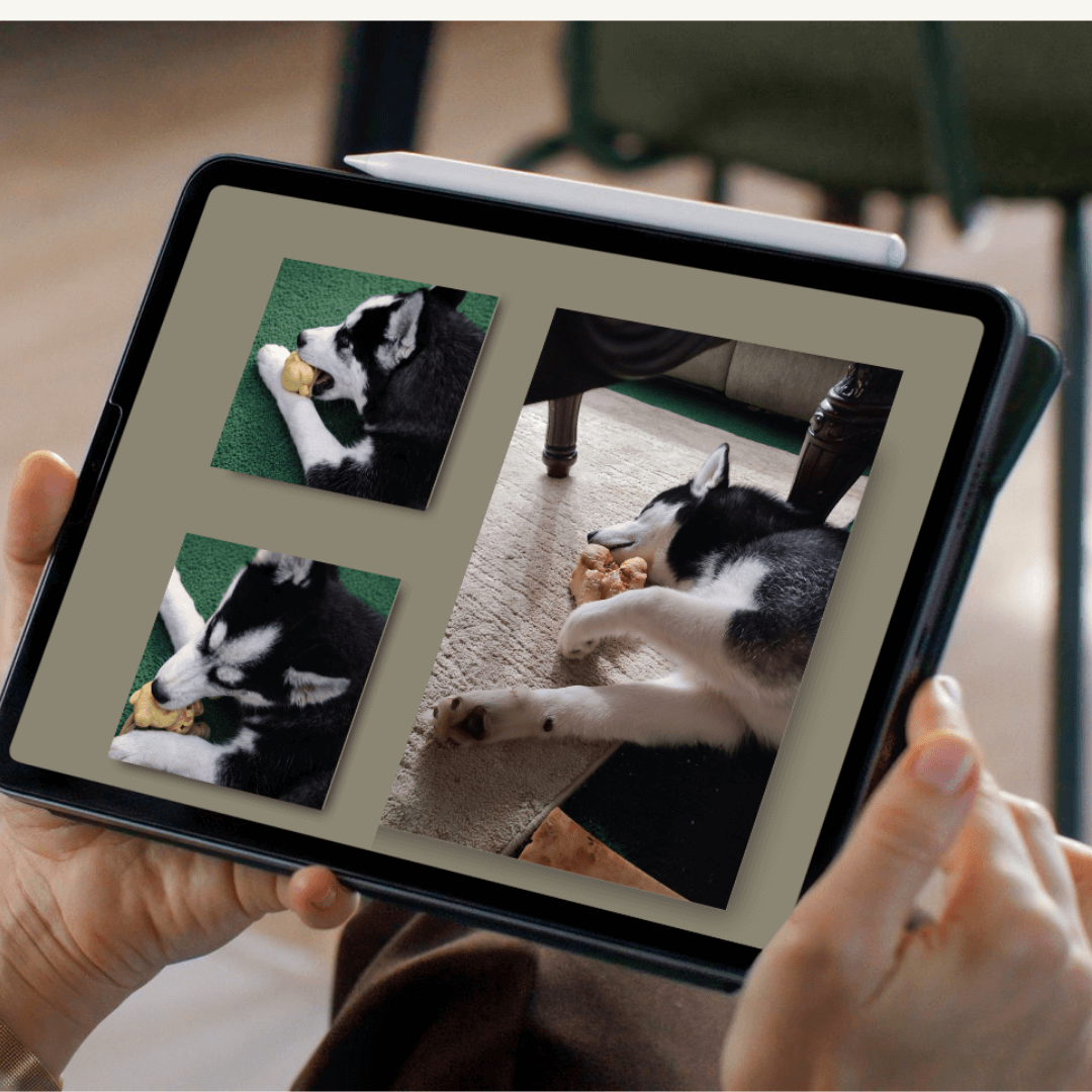 Personalized Pet Memorial Book - Custom Tribute Keepsake showcasing photos of a dog enjoying treats.